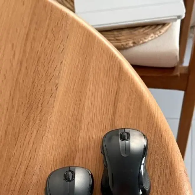 2 Bluetooth мышки Logitech
