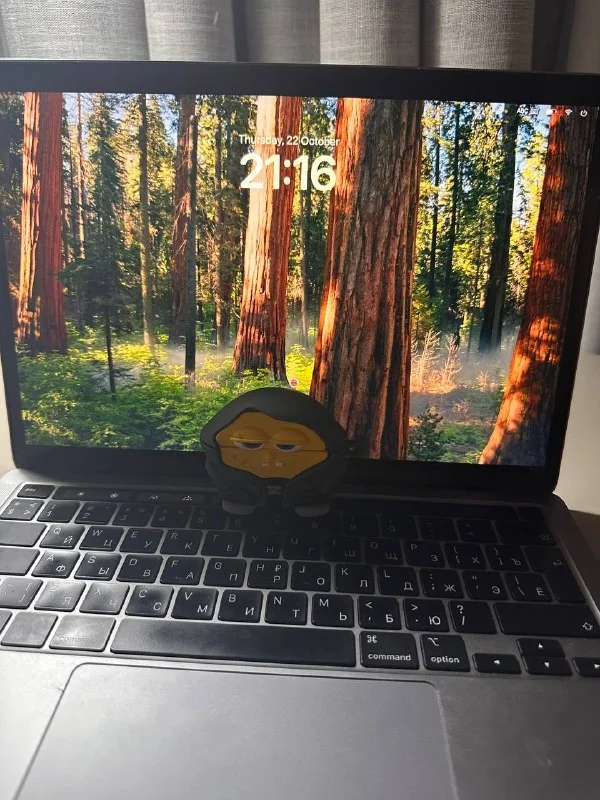 MacBook Pro