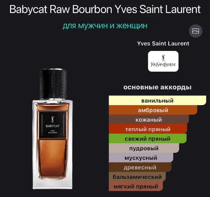 Нишевый парфюм YSL Babycat Raw Bourbon